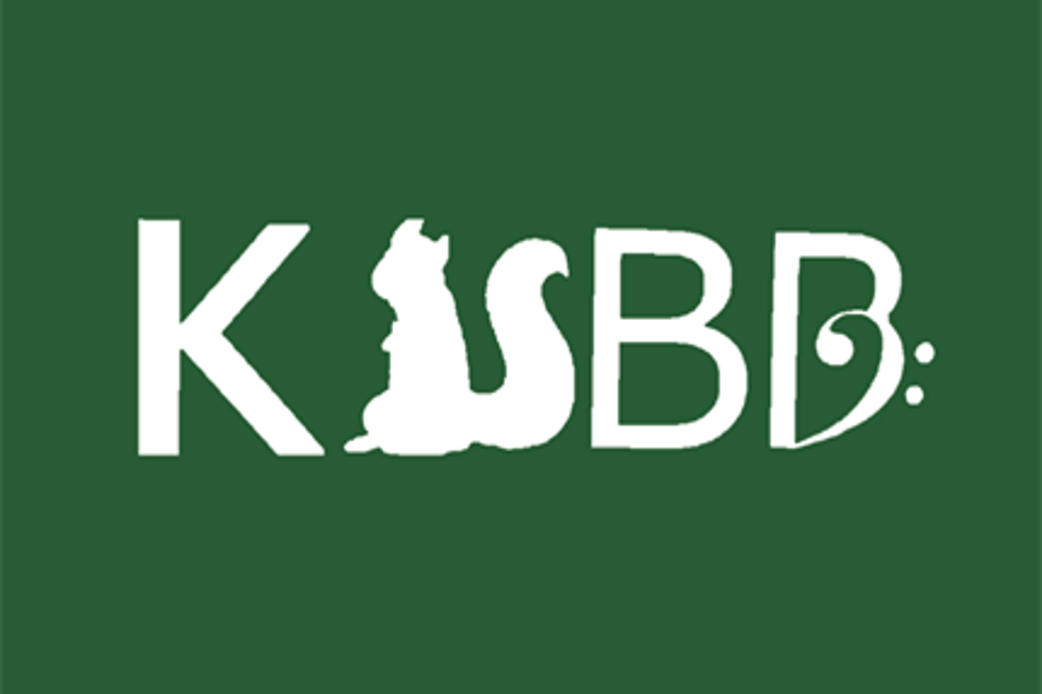 Dark green background with white KUBB logo on top